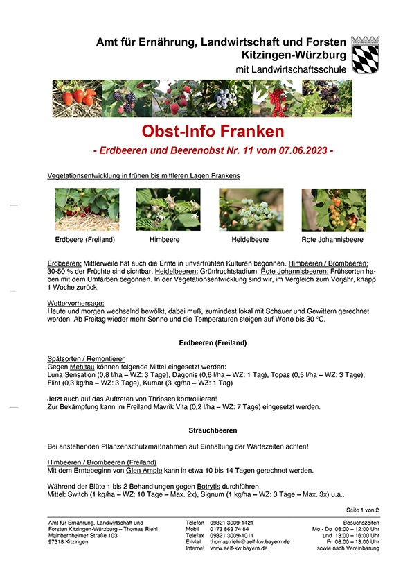 2023-11-obst-info-beeren