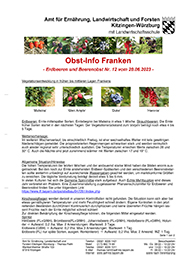 2023-12-obst-info-beeren