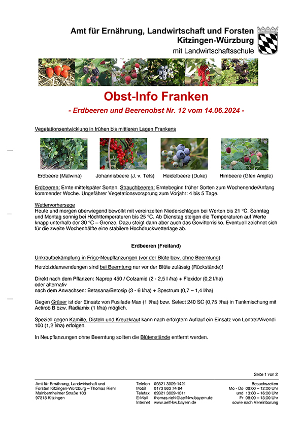 2024-12-obst-info-1